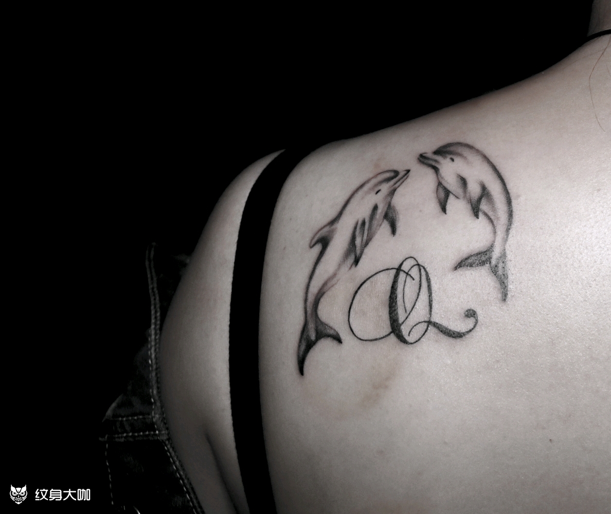 海豚_纹身图案手稿图片_朝海的纹身作品集