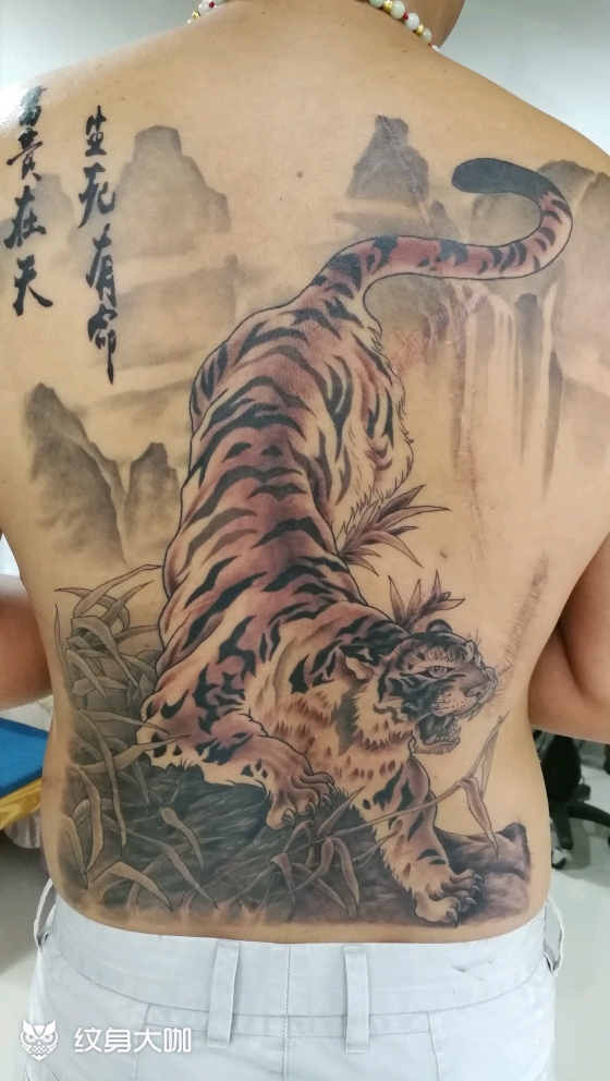 满背下山虎_纹身图案手稿图片_陆师傅的纹身作品集