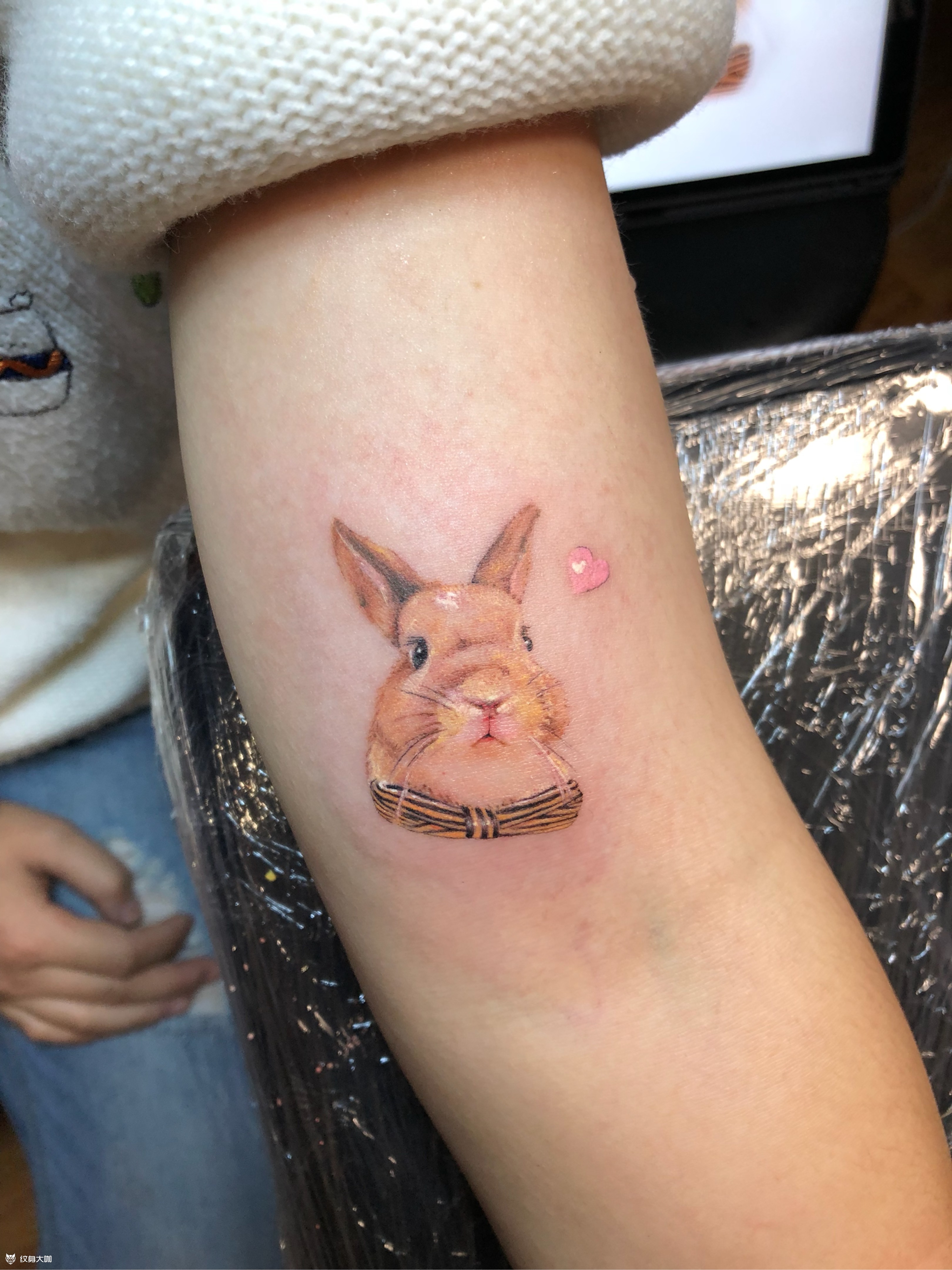 兔子小图纹身图案大全 