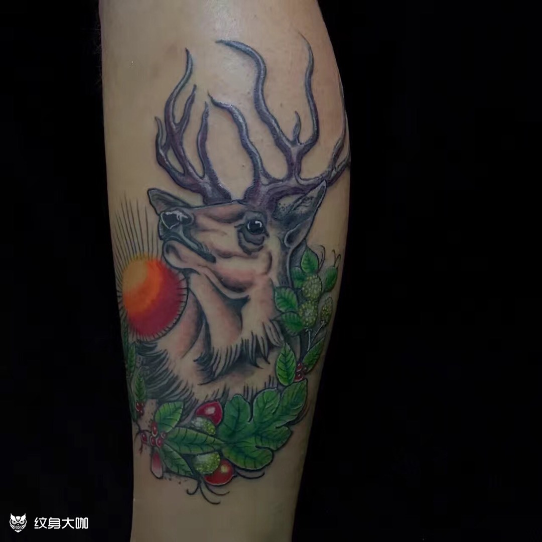 old school雄鹿_纹身图案手稿图片_赵毅的纹身作品集