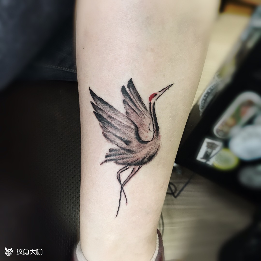 仙鹤_纹身图案手稿图片_老顾的纹身作品集