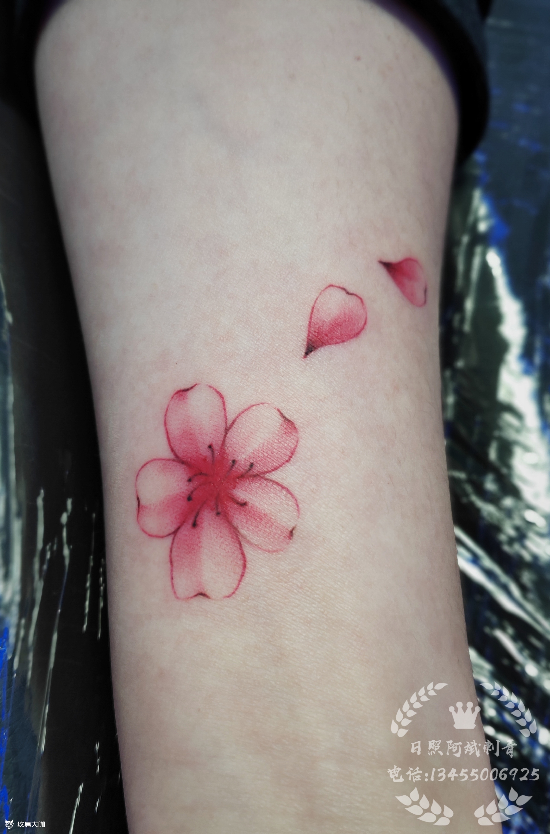 樱花_纹身图案手稿图片_阿斌的纹身作品集