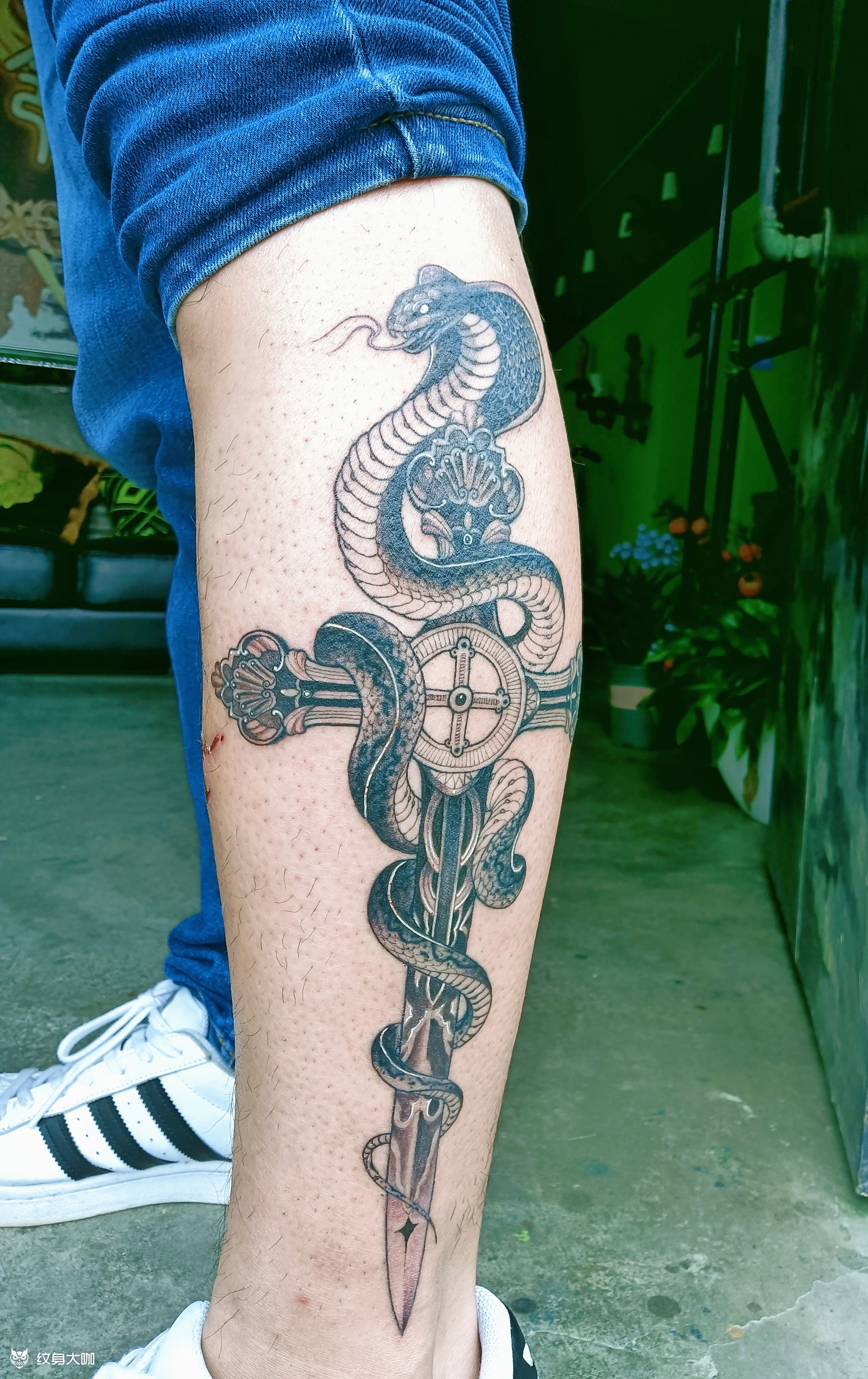 眼镜蛇匕首_纹身图案手稿图片_君君的纹身作品集