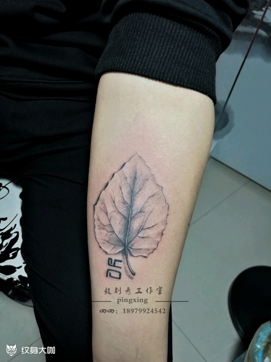 杨树叶子_纹身图案手稿图片_四四的纹身作品集