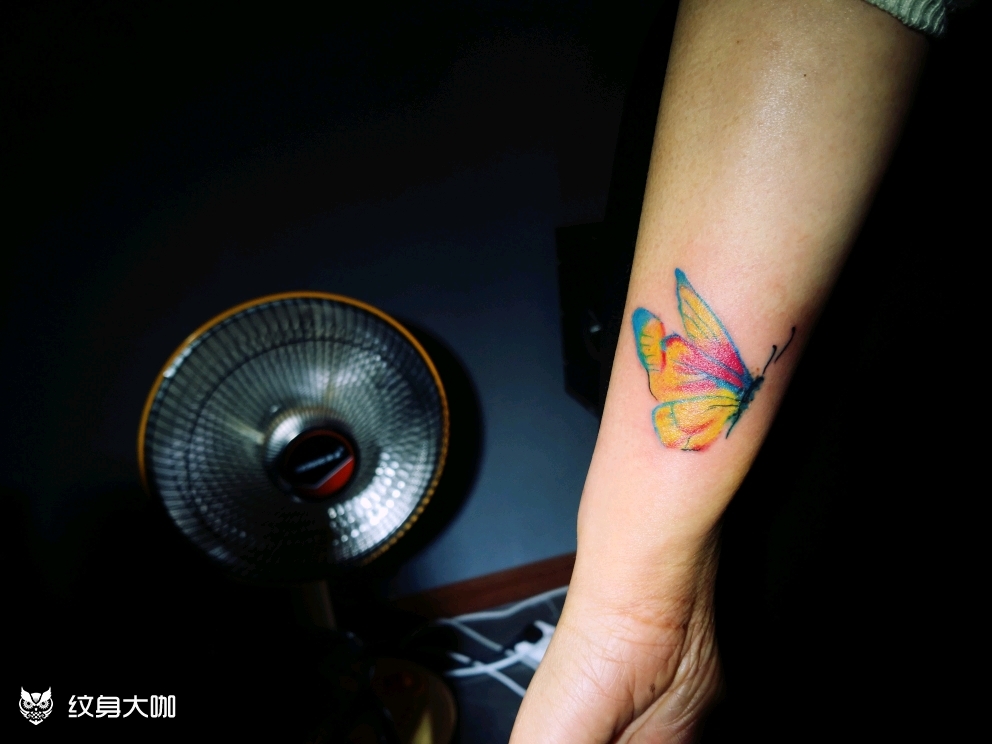 蝴蝶遮盖胎记_纹身图案手稿图片_老向的纹身作品集