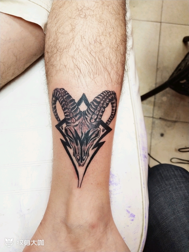 羊头一枚!_纹身图案手稿图片_席海波的纹身作品集