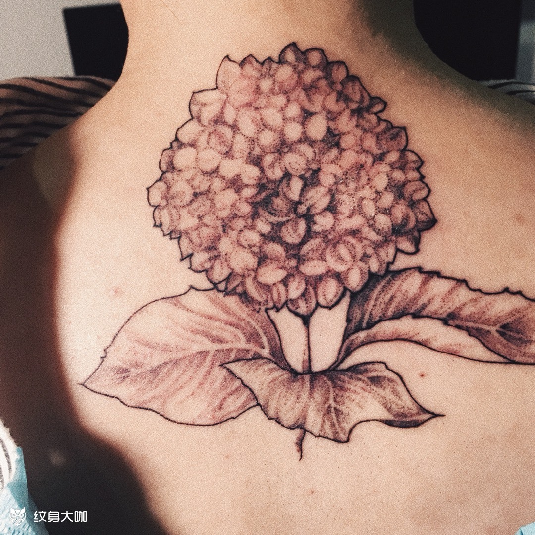 绣球花_纹身图案手稿图片_zen的纹身作品集