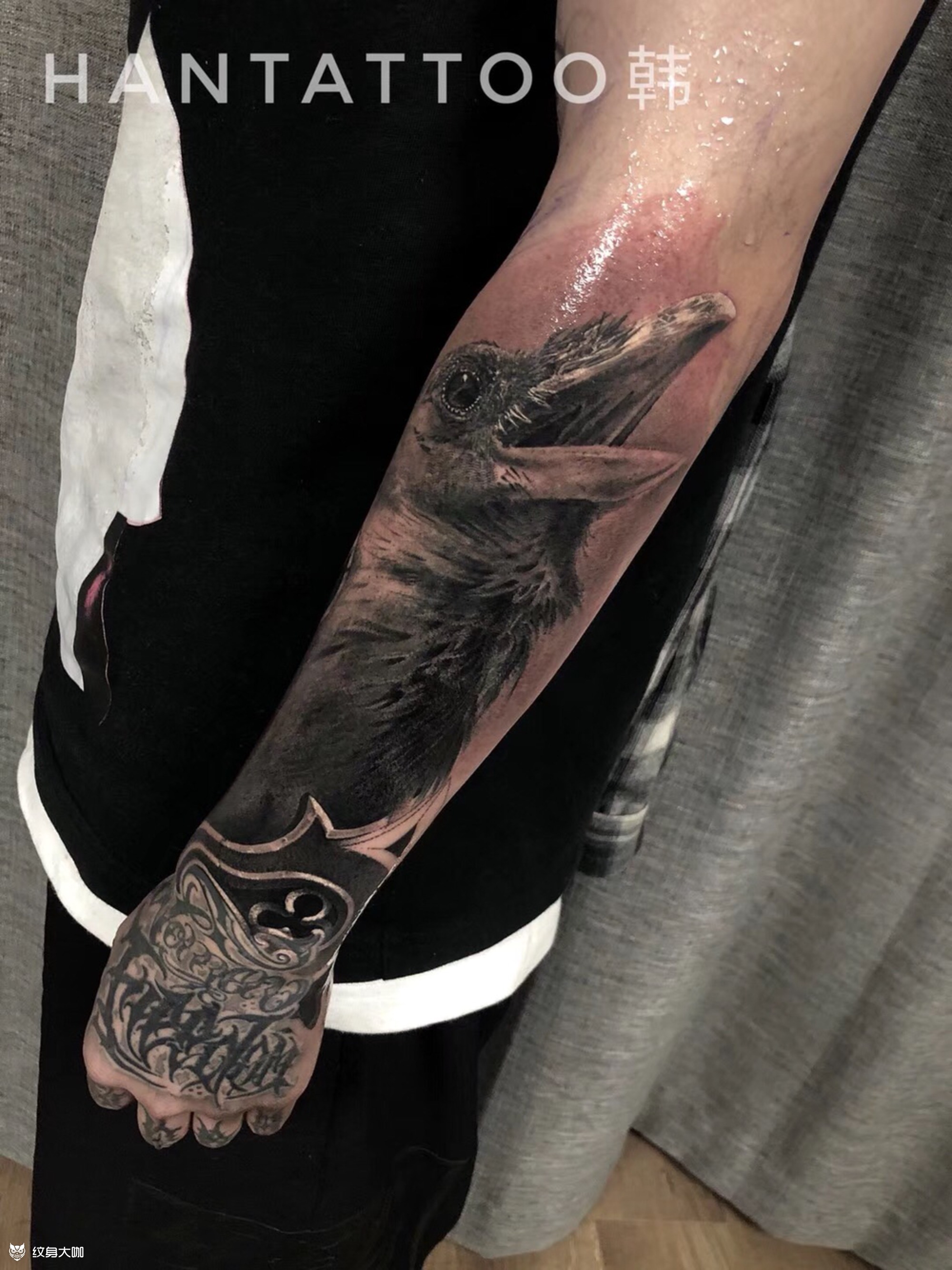 三眼乌鸦 未完成_纹身图案手稿图片_李韩的纹身作品集