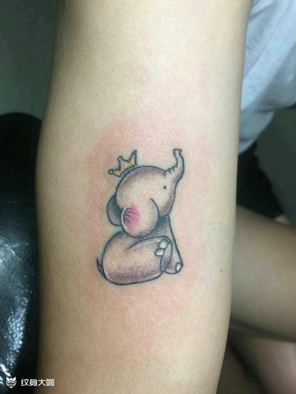 小象_纹身图案手稿图片_梁家豪的纹身作品集