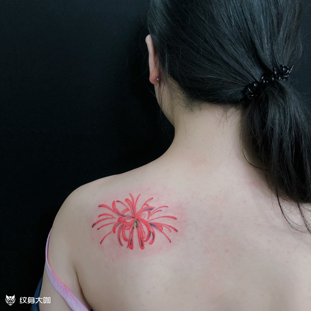 彼岸花_纹身图案手稿图片_dd的纹身作品集