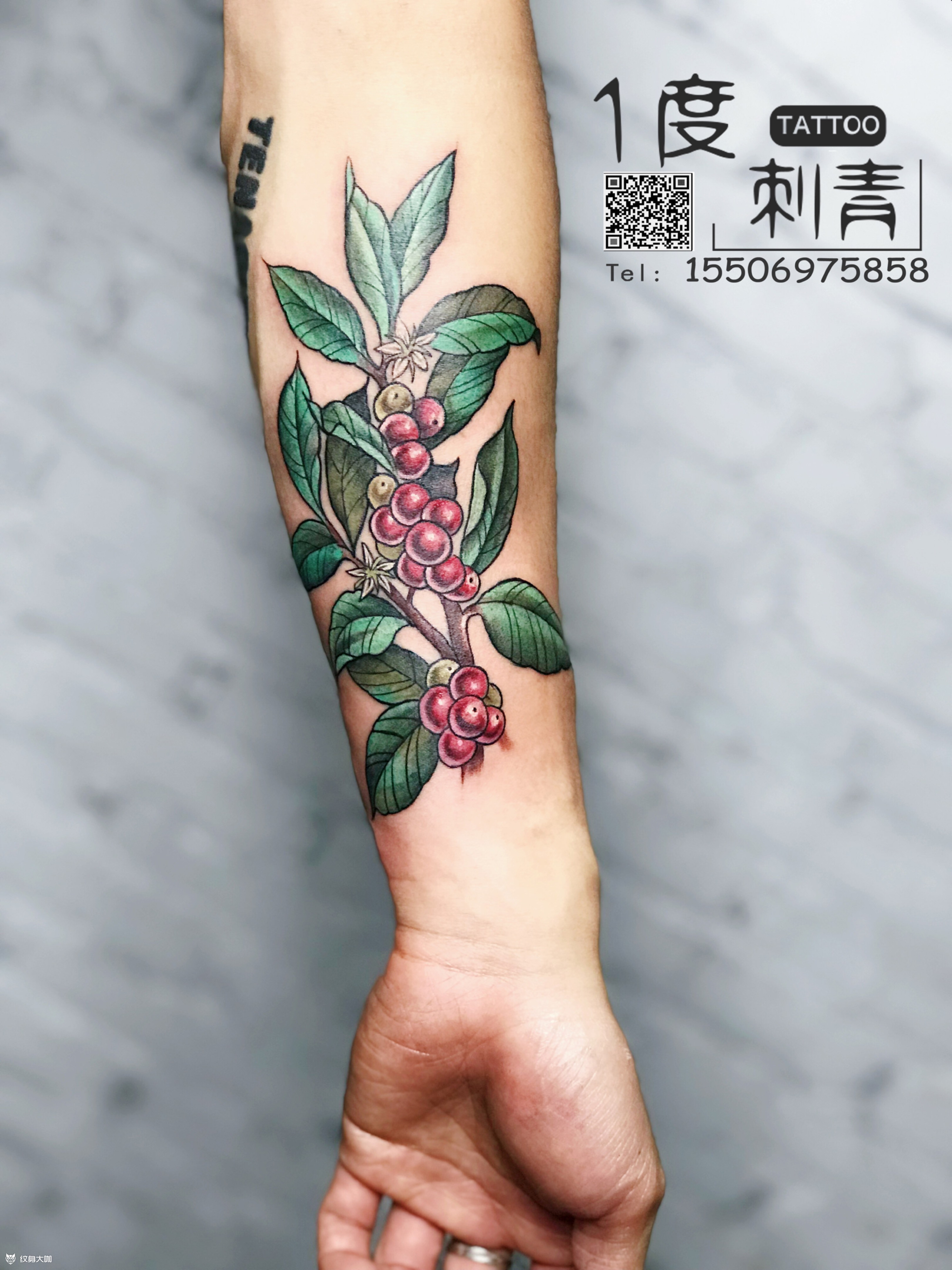咖啡树_纹身图案手稿图片_陈滢的纹身作品集