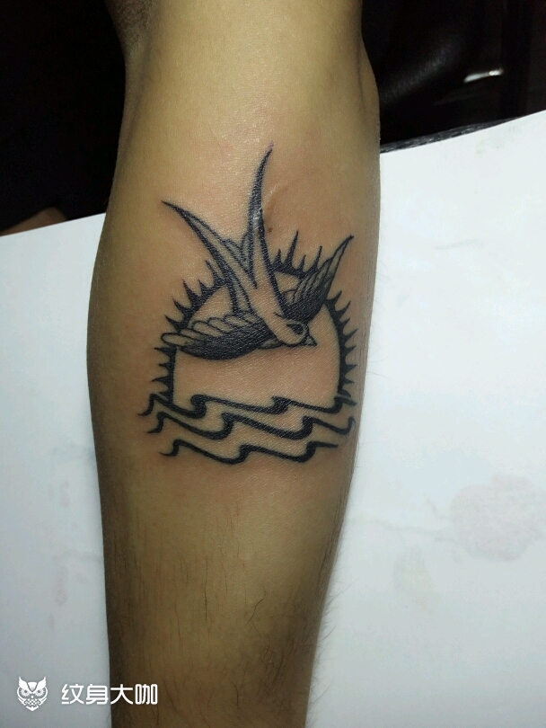 不死鸟_纹身图案手稿图片_李湘的纹身作品集