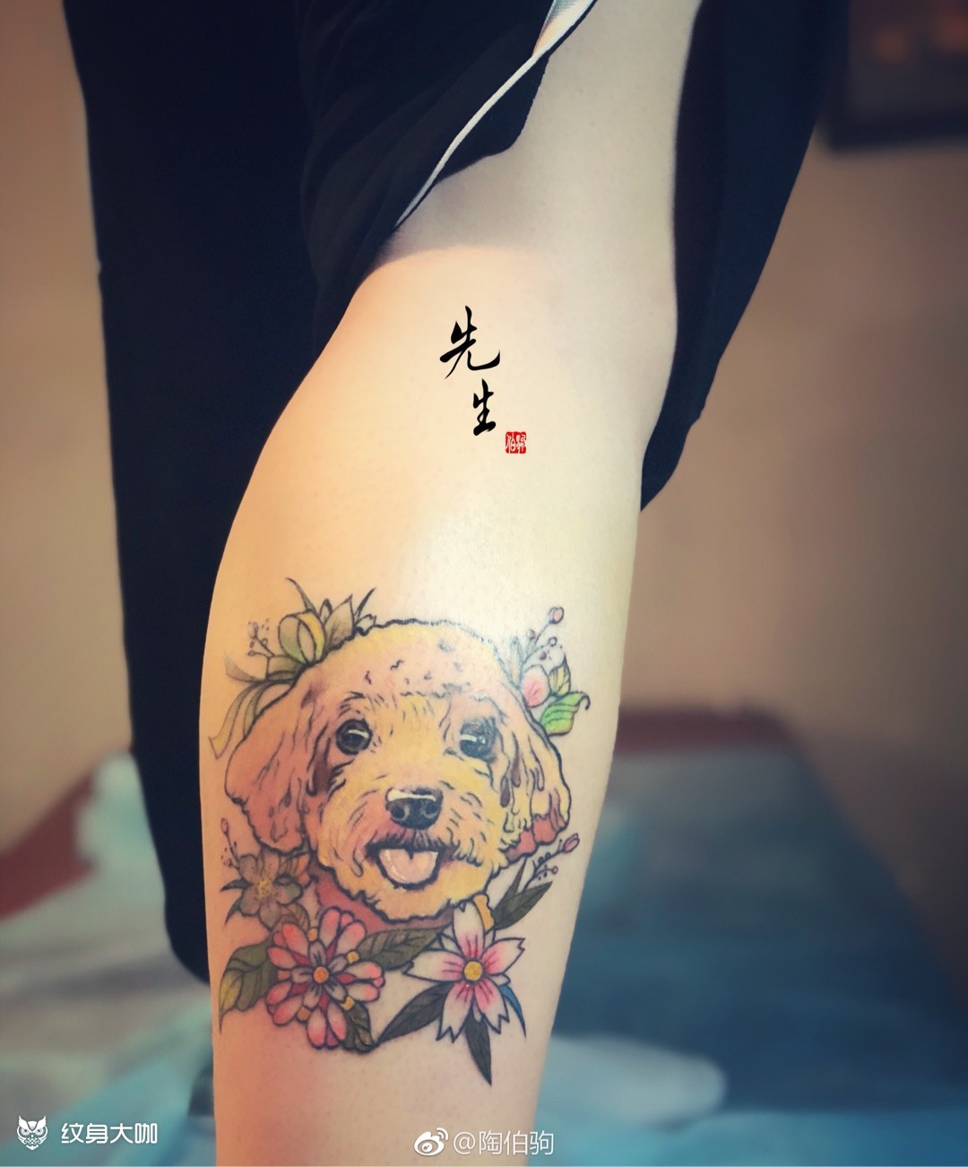泰迪狗狗_纹身图案手稿图片_陶伯驹的纹身作品集