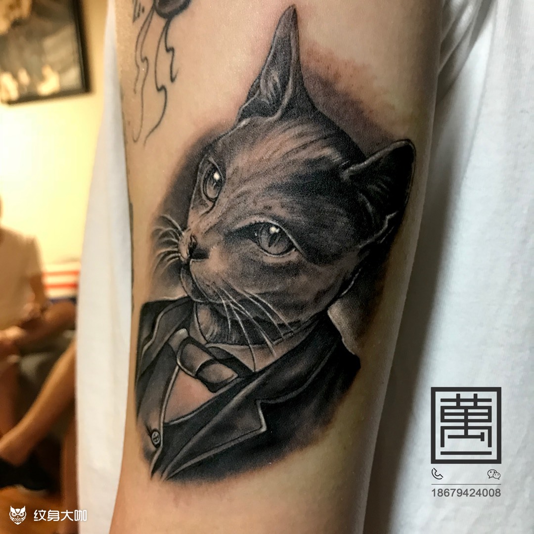 猫先生_纹身图案手稿图片_万一的纹身作品集