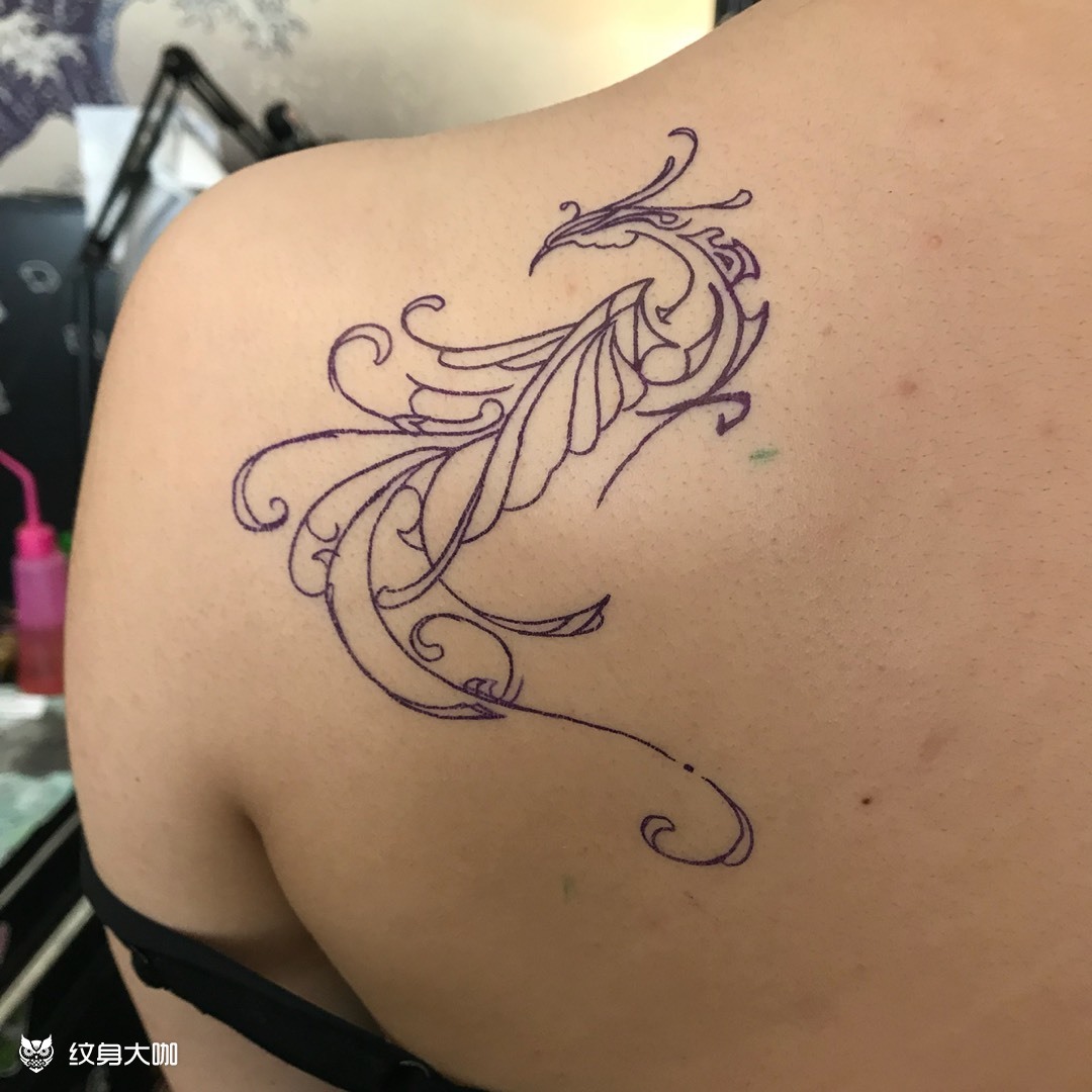 图腾凤凰_纹身图案手稿图片_董少杰的纹身作品集