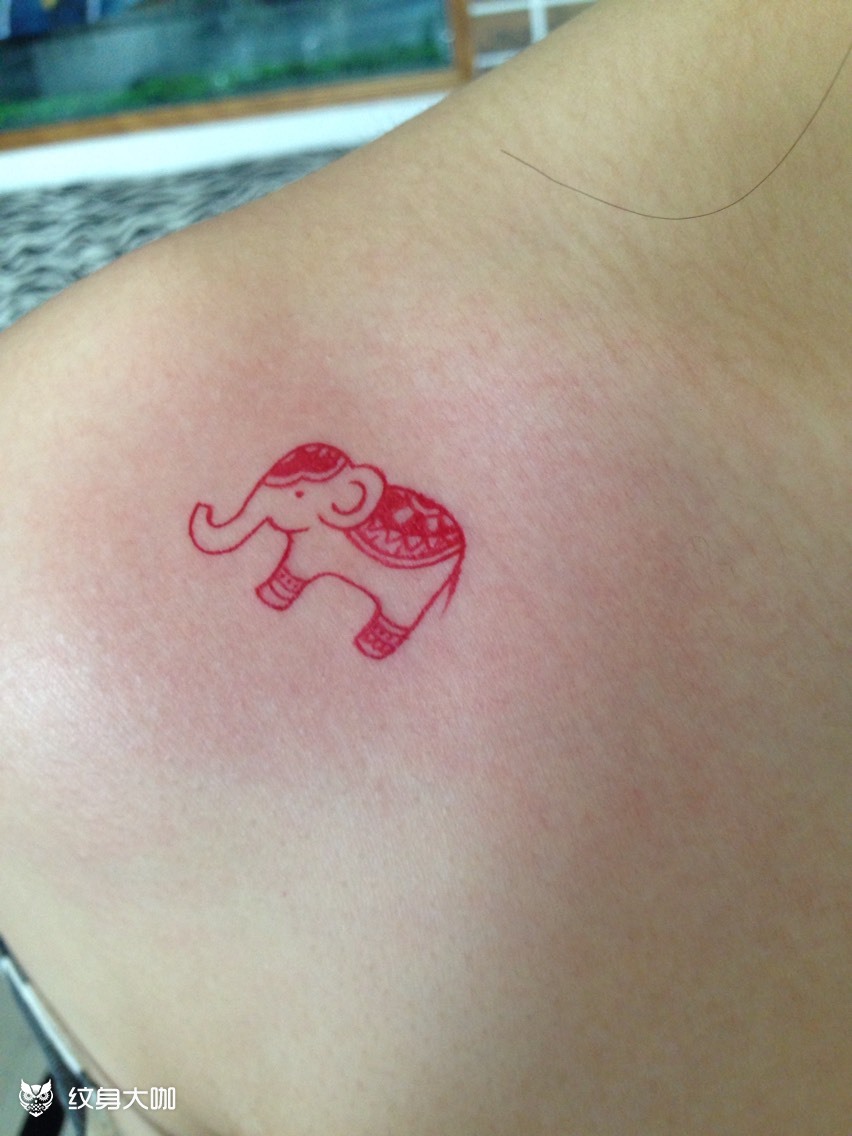 小象_纹身图案手稿图片_ma 姐的纹身作品集