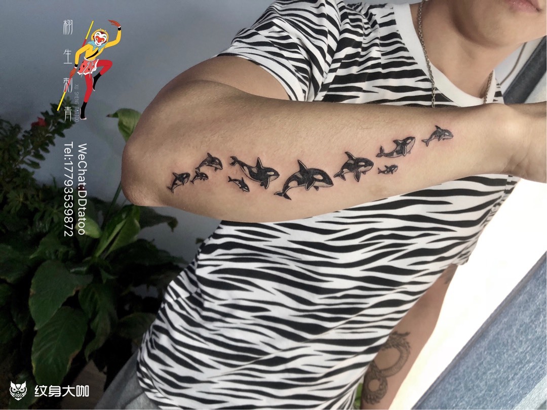虎鲸_纹身图案手稿图片_ddi的纹身作品集