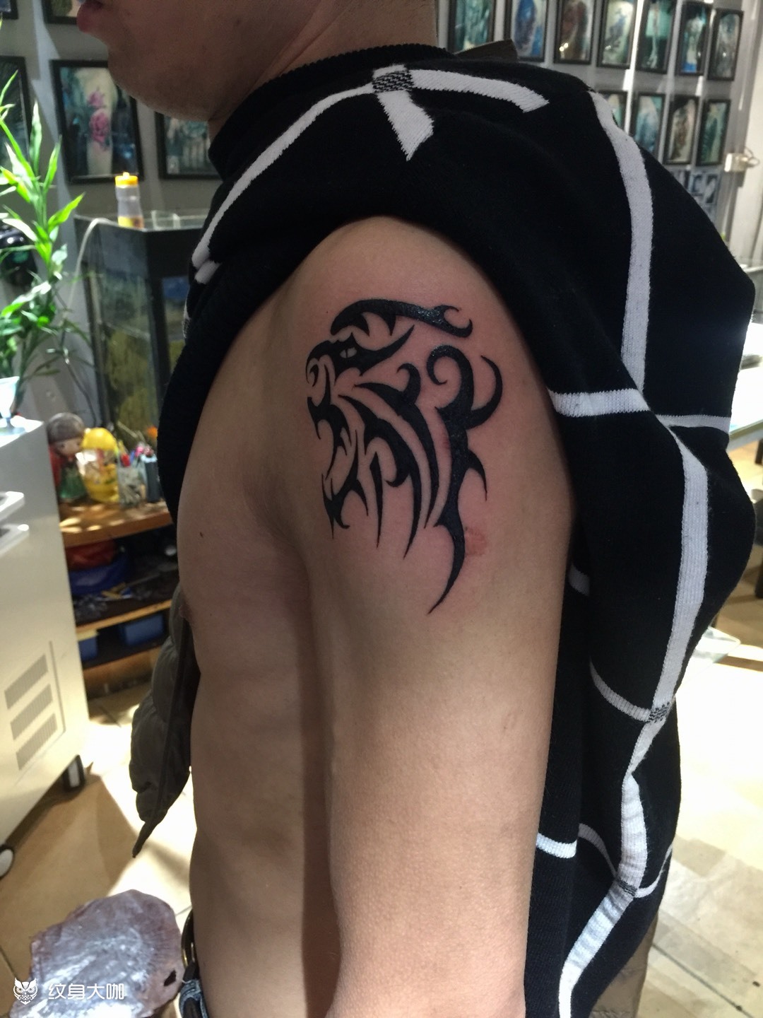 虎图腾_纹身图案手稿图片_李珠清的纹身作品集