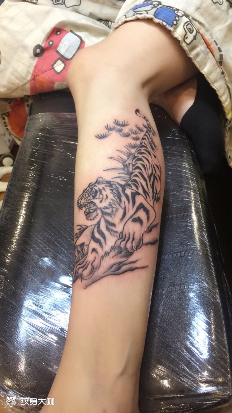 下山虎_纹身图案手稿图片_梁子的纹身作品集