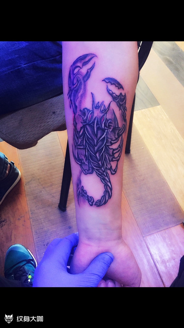 蝎子_纹身图案手稿图片_崔岩鹏的纹身作品集