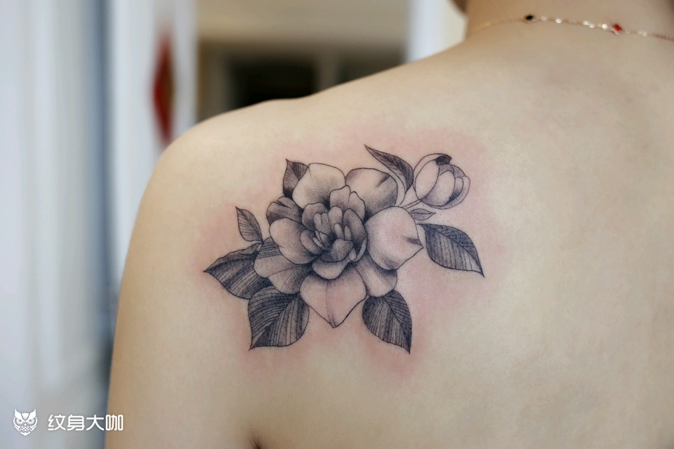 栀子花_纹身图案手稿图片_jessie的纹身作品集