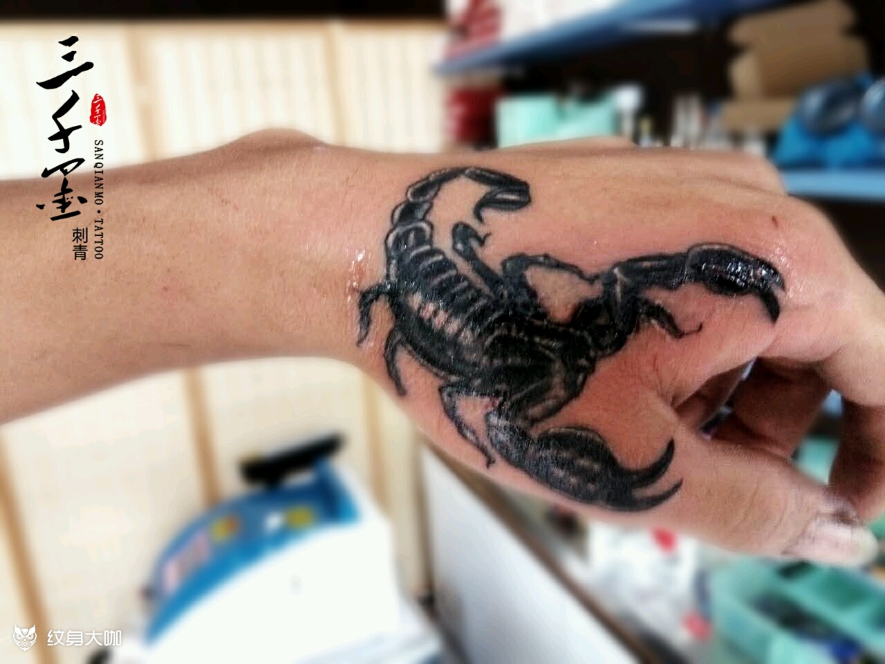 遮盖—蝎子_纹身图案手稿图片_三千墨的纹身作品集