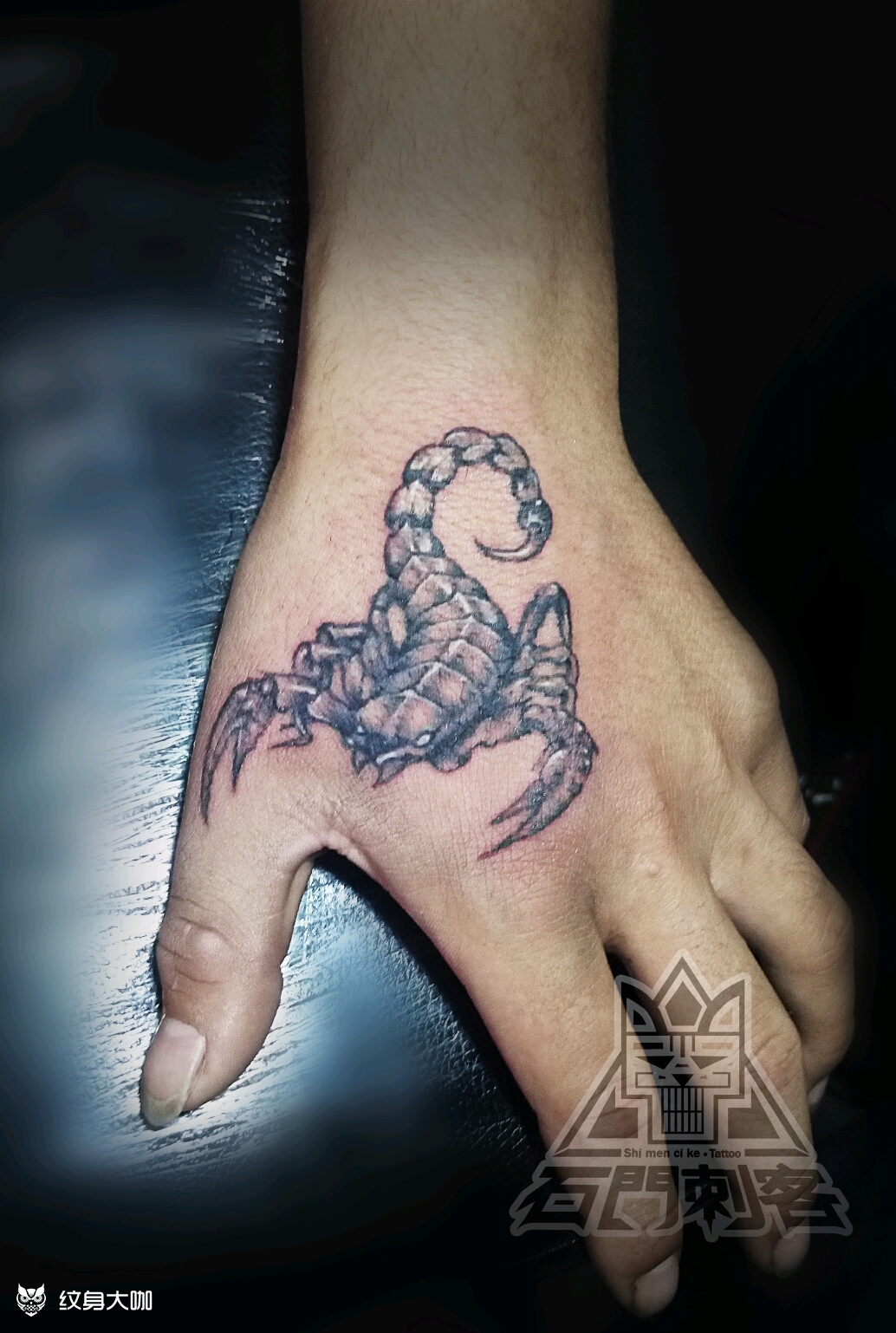 大蝎子_纹身图案手稿图片_ 树的纹身作品集