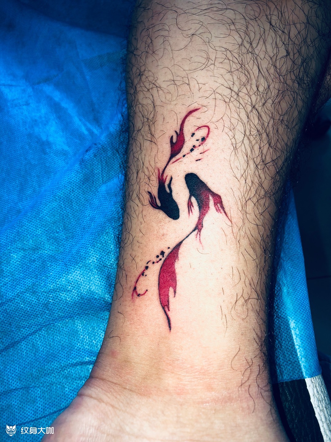 小鱼,没剔完毛_纹身图案手稿图片_韦亮的纹身作品集