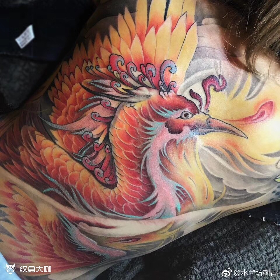 (不死鸟)_纹身图案手稿图片_张杨的纹身作品集