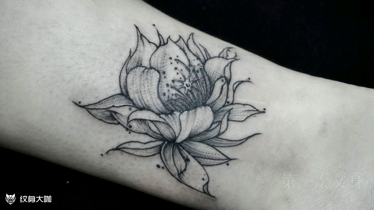昙花_纹身图案手稿图片_firsttattoo的纹身作品集
