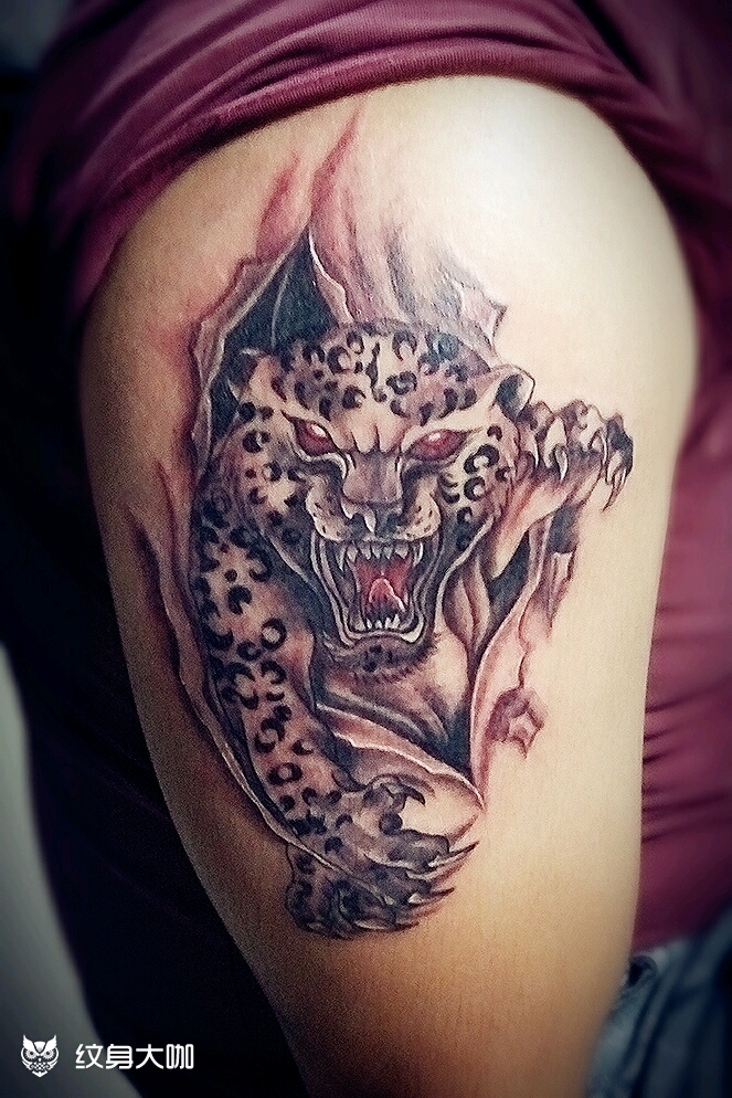 豹子666_纹身图案手稿图片_目八刀|盼佬的纹身作品集