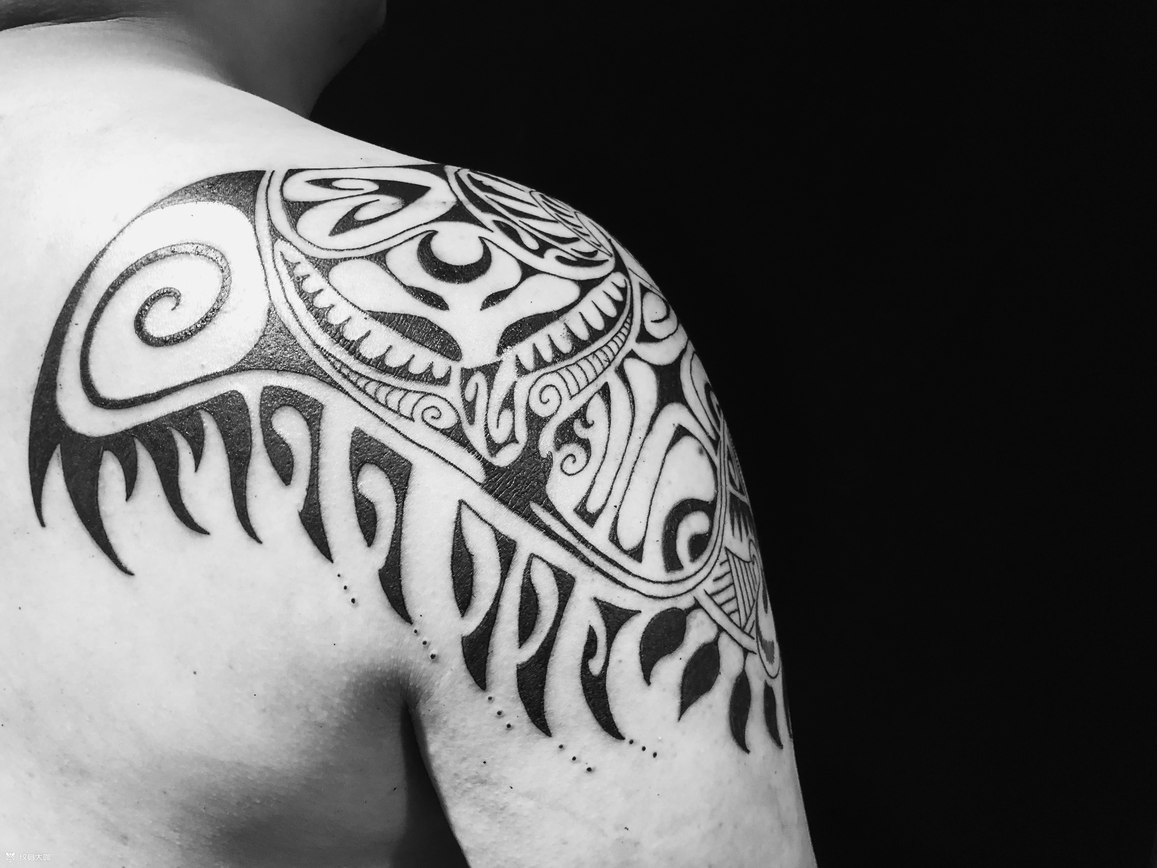 章鱼海洋图腾_纹身吧社区 - 纹身大咖