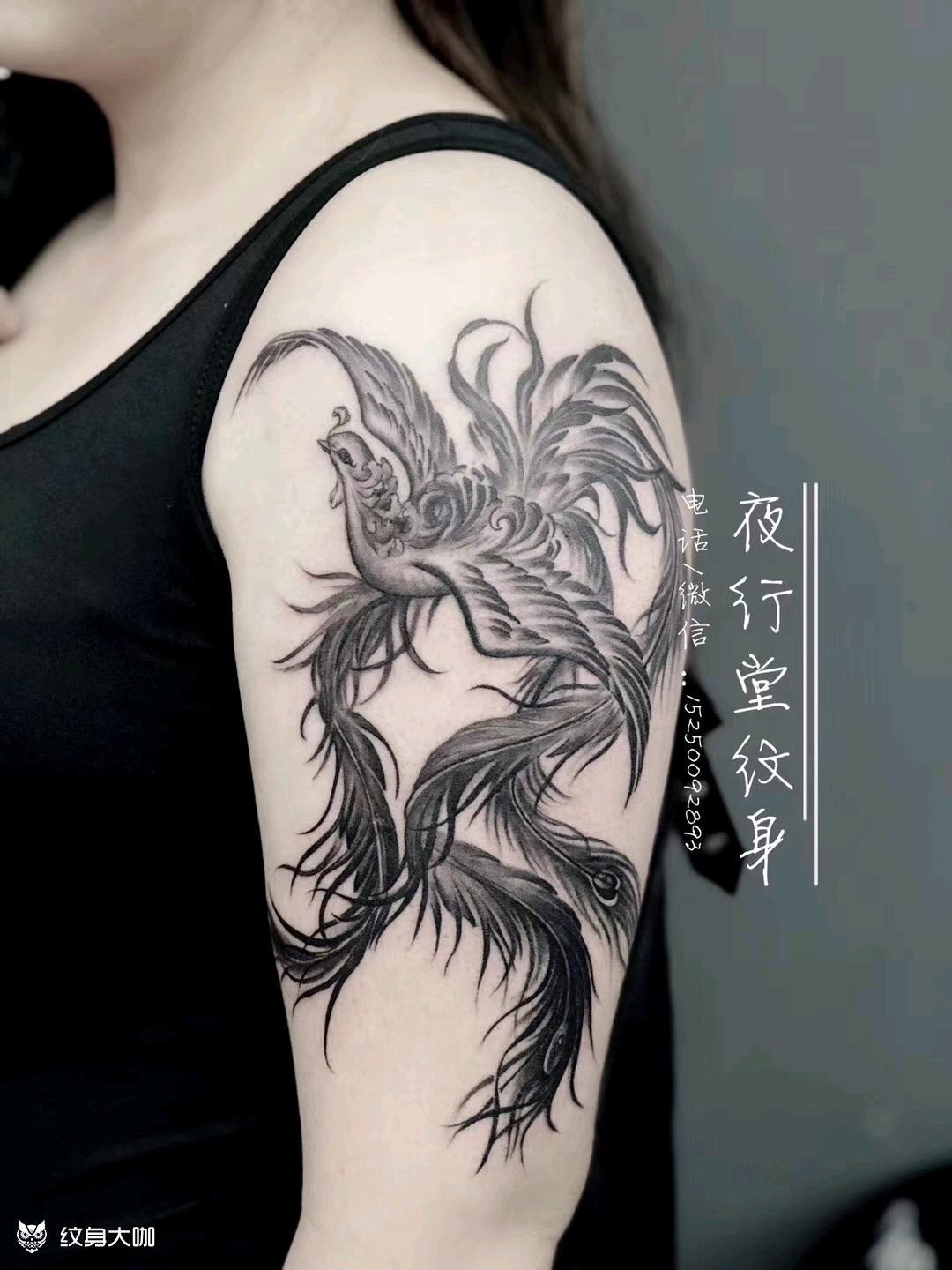 凤凰_纹身图案手稿图片_道,虎山的纹身作品集