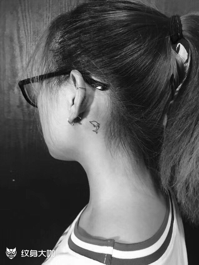 耳后小海豚_纹身图案手稿图片_郑文彬的纹身作品集