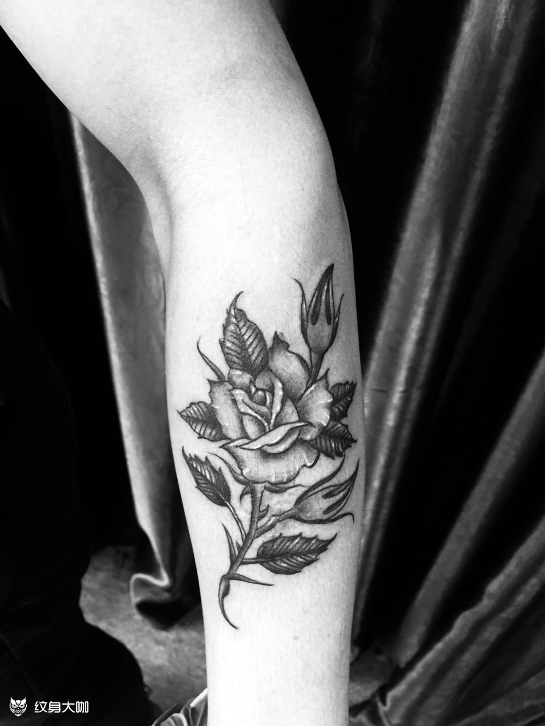 玫瑰花纹身黑雾图片
