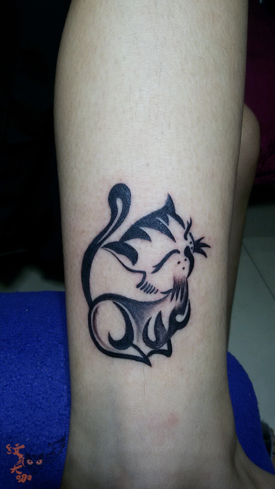 小猫93_纹身图案手稿图片_郭欣的纹身作品集