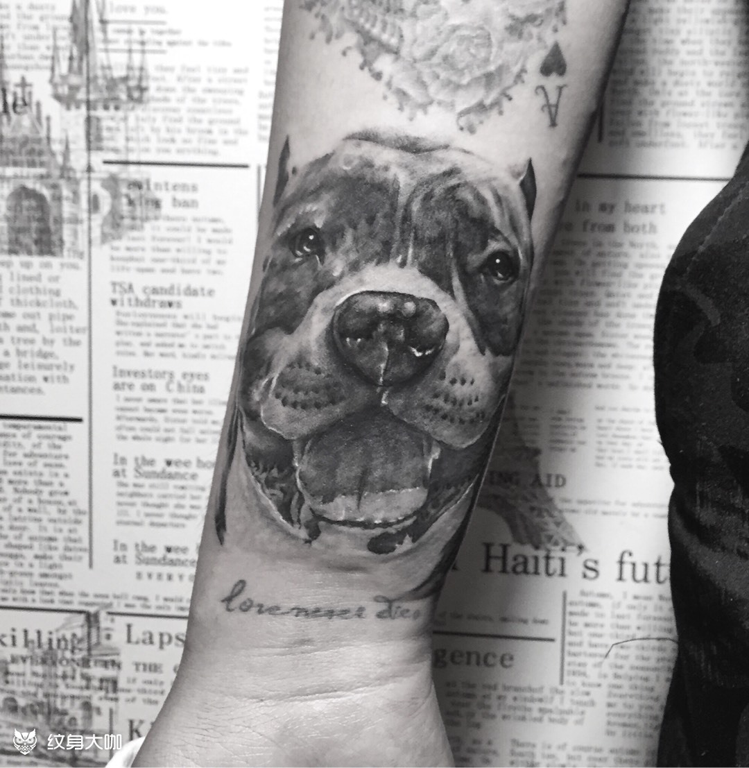 恶霸犬纹身图案图片