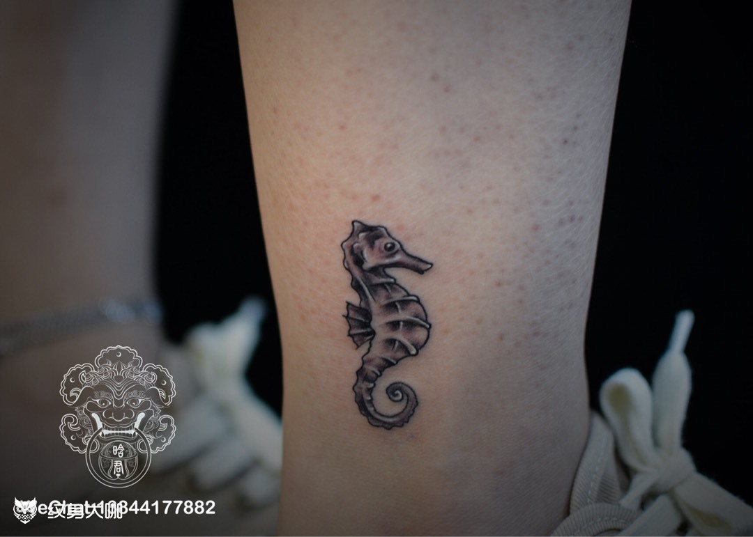 小海马_纹身图案手稿图片_晗君的纹身作品集