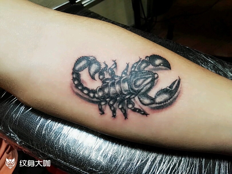 蝎子_纹身图案手稿图片_痴侯 鹤柒的纹身作品集