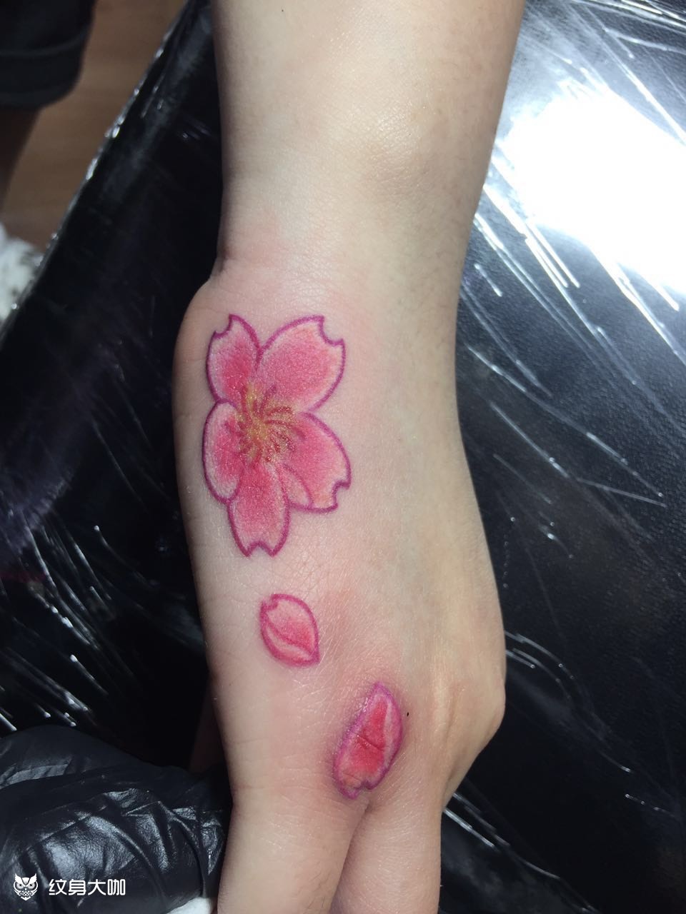 樱花_纹身图案手稿图片_张林的纹身作品集