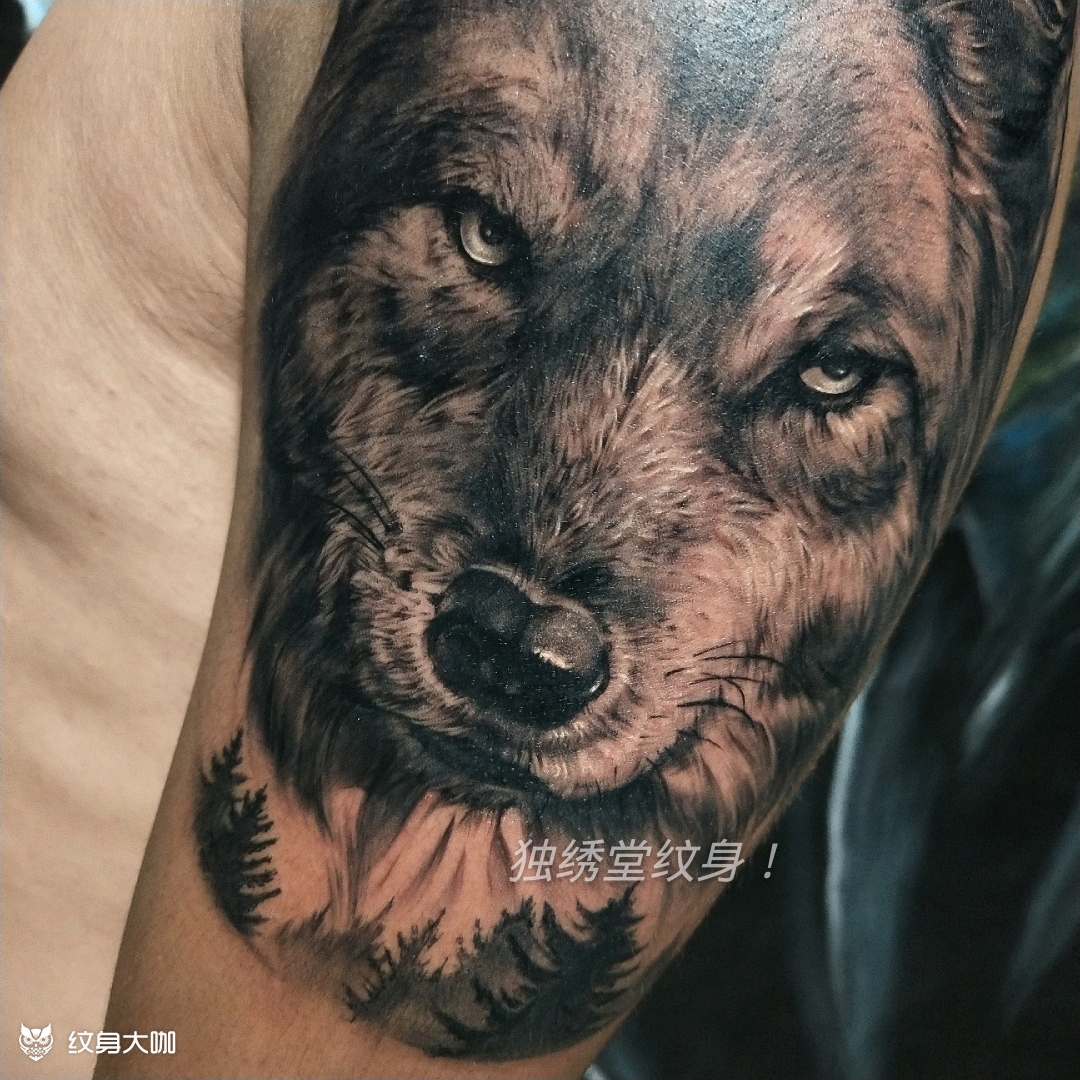 嗷嗷嗷嗷~_纹身图案手稿图片_高菲的纹身作品集