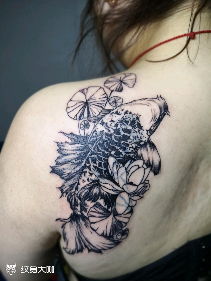 锦鲤_纹身图案手稿图片_小一的纹身作品集