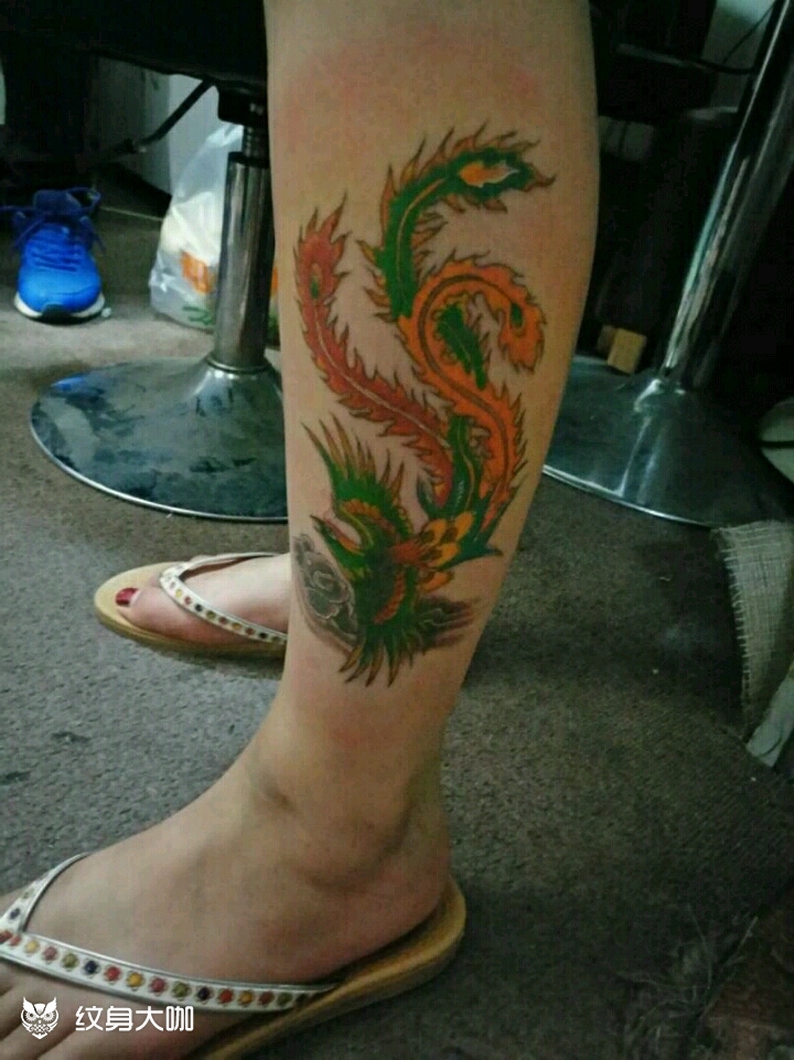 凤凰_纹身图案手稿图片_青龙纹身的纹身作品集