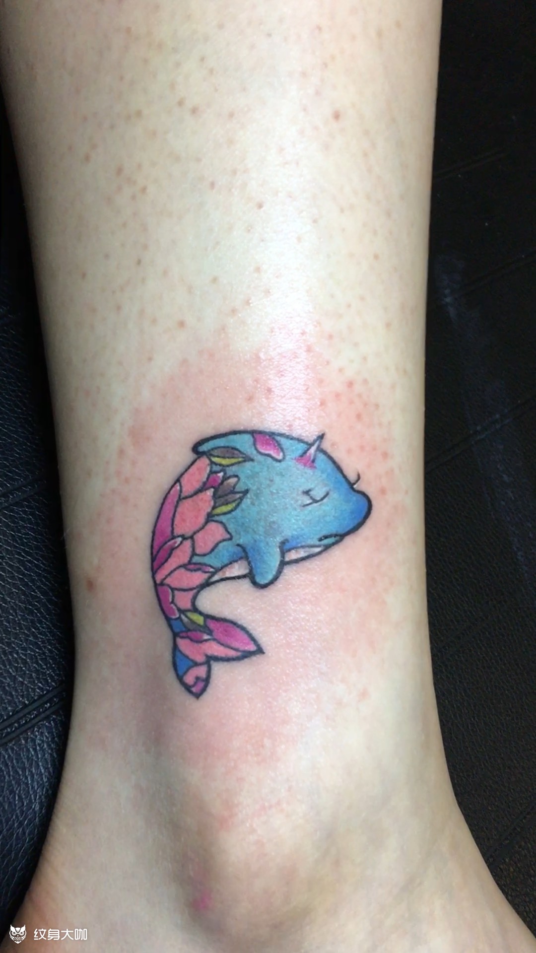 小海豚_纹身图案手稿图片_唐门的纹身作品集