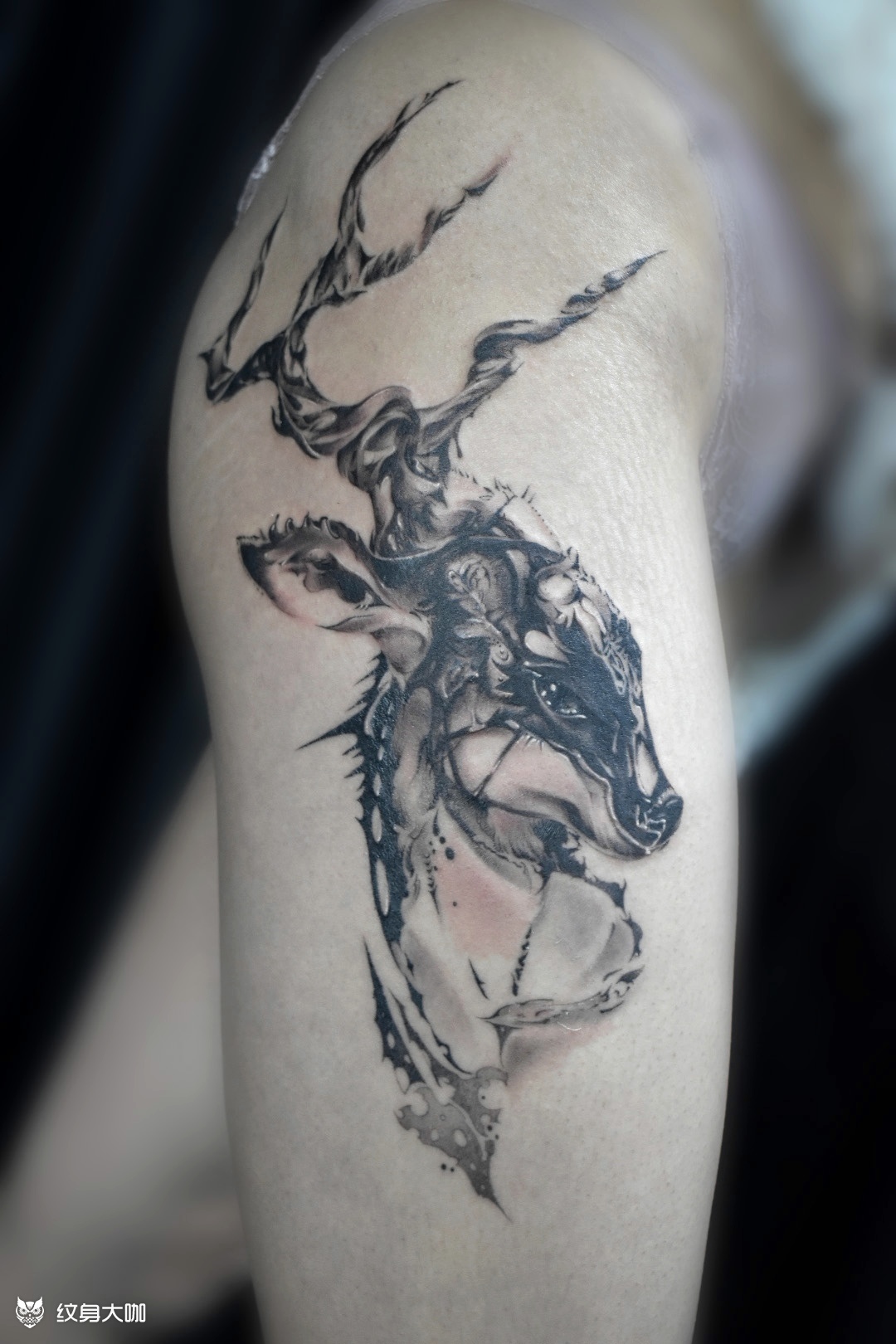 玲鹿_纹身图案手稿图片_覌正的纹身作品集