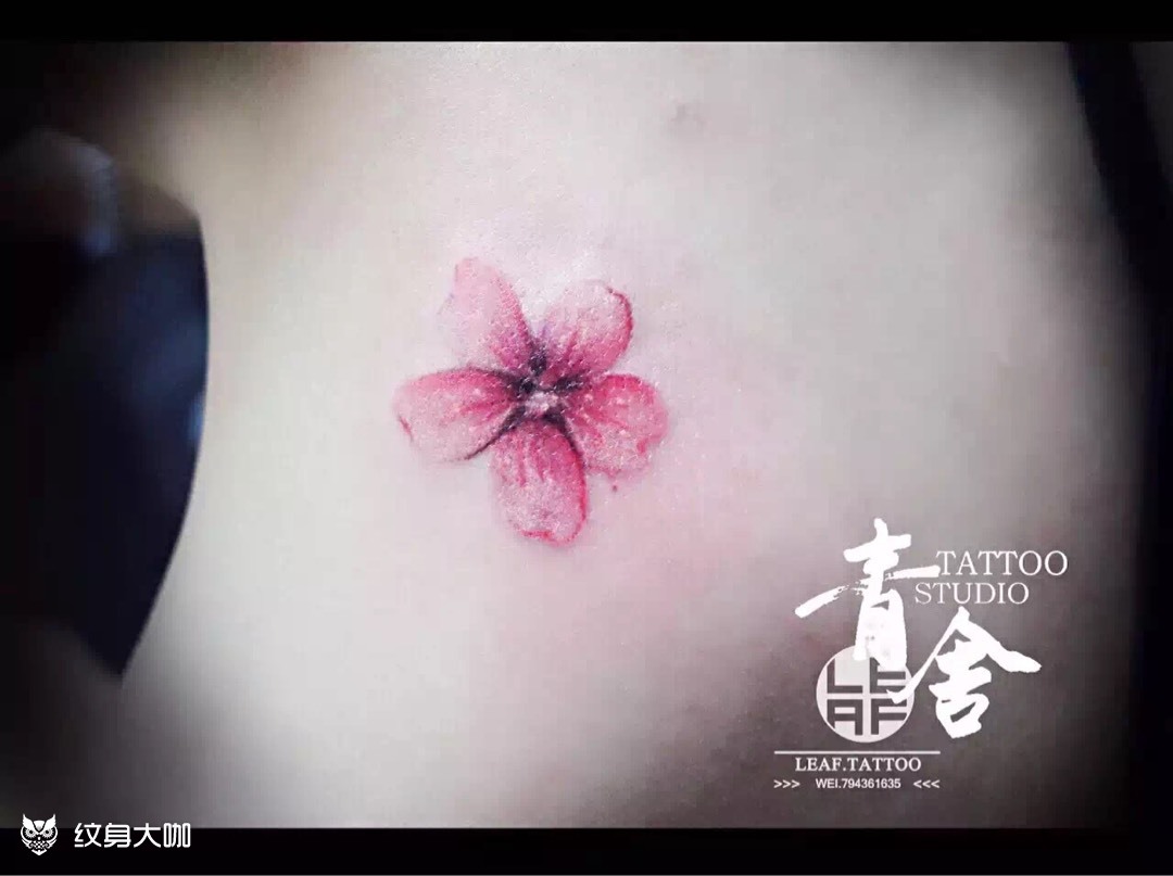 桃花_纹身图案手稿图片_青舍 杨威的纹身作品集