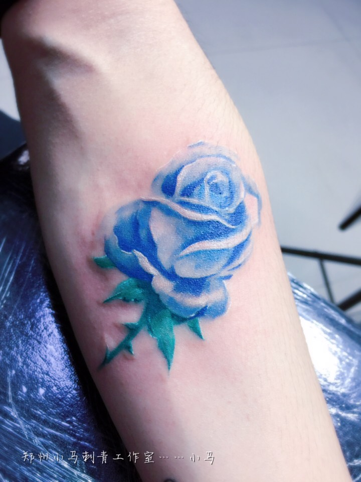 蓝玫瑰_纹身图案手稿图片_马骏的纹身作品集