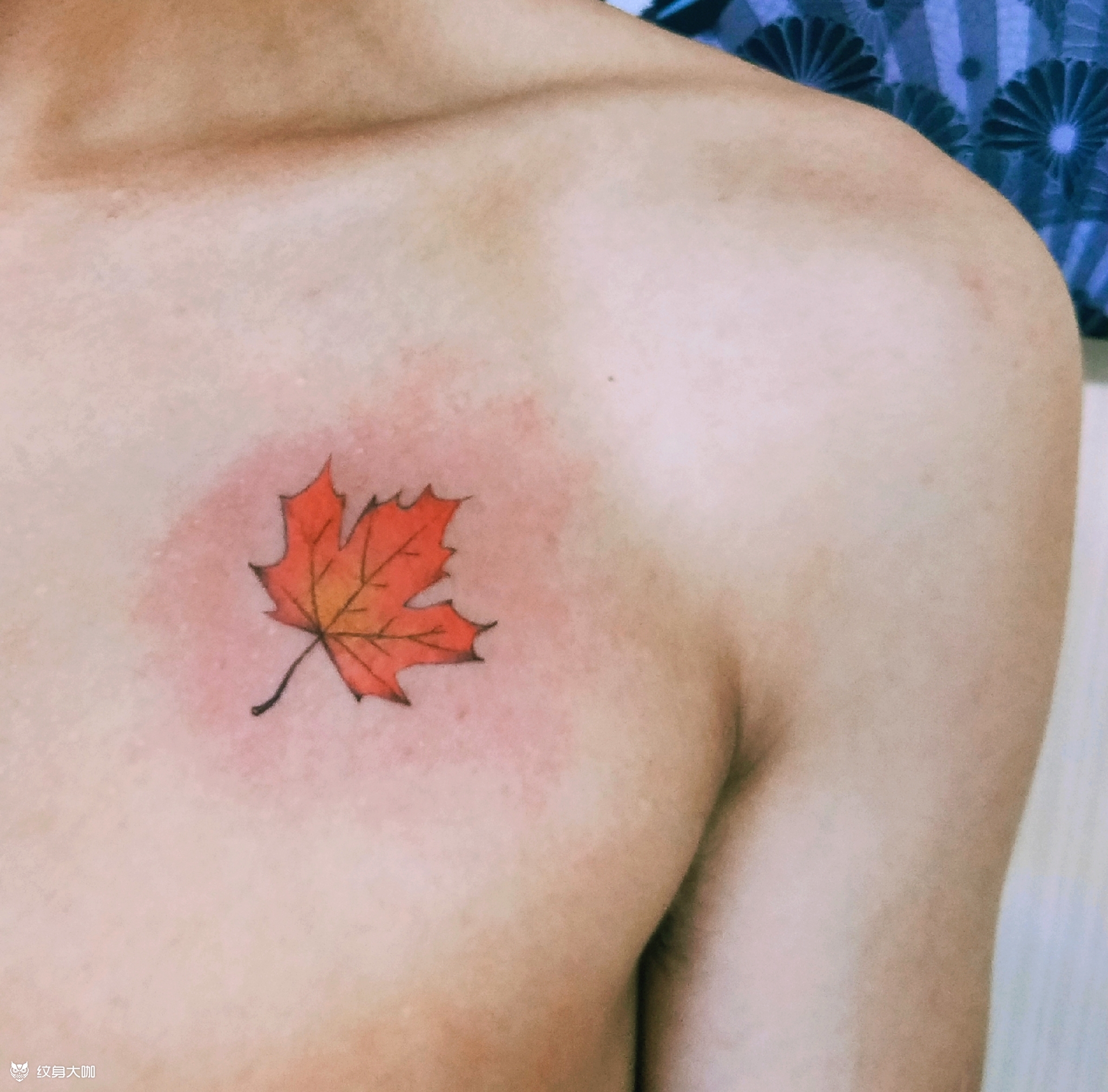 梧桐叶_纹身图案手稿图片_刺客联盟的纹身作品集