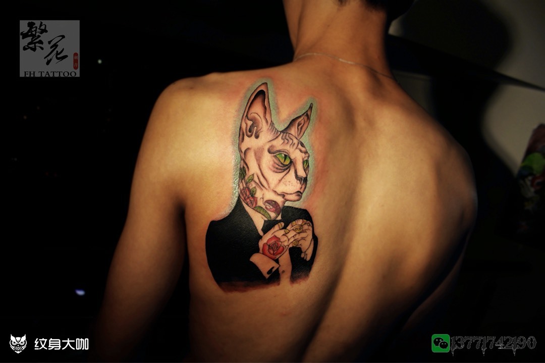无毛猫,社会猫又来咯90_纹身图案手稿图片_繁花·tattoo ·飞虎的