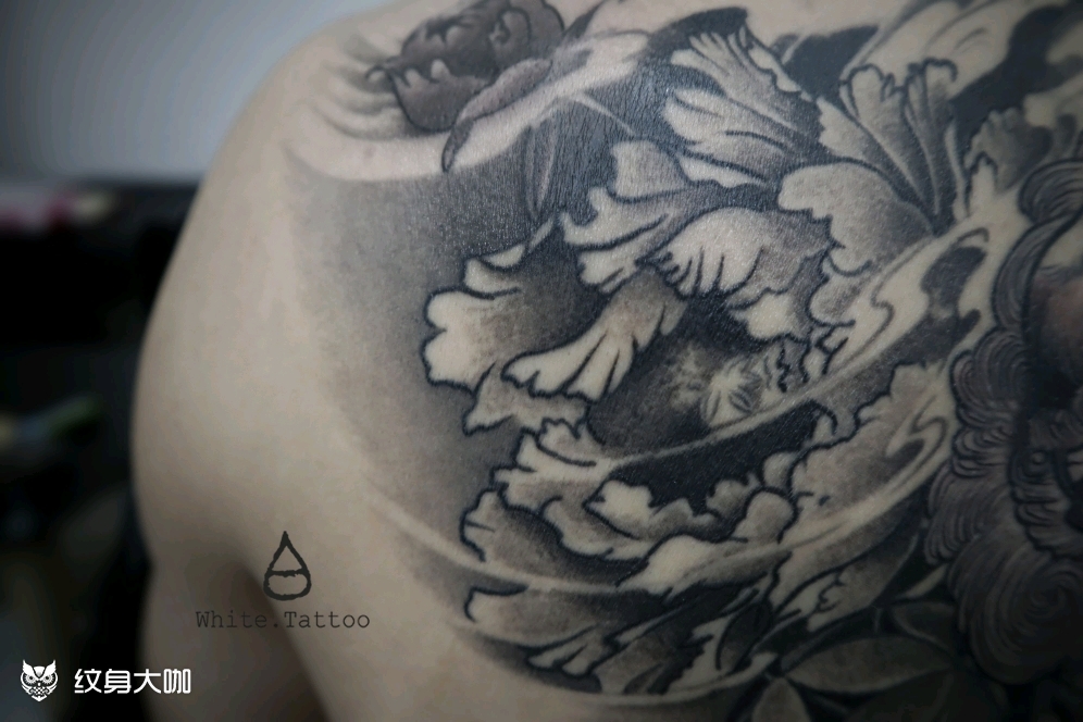 半背牡丹唐狮_纹身图案手稿图片_鱼肚白的纹身作品集